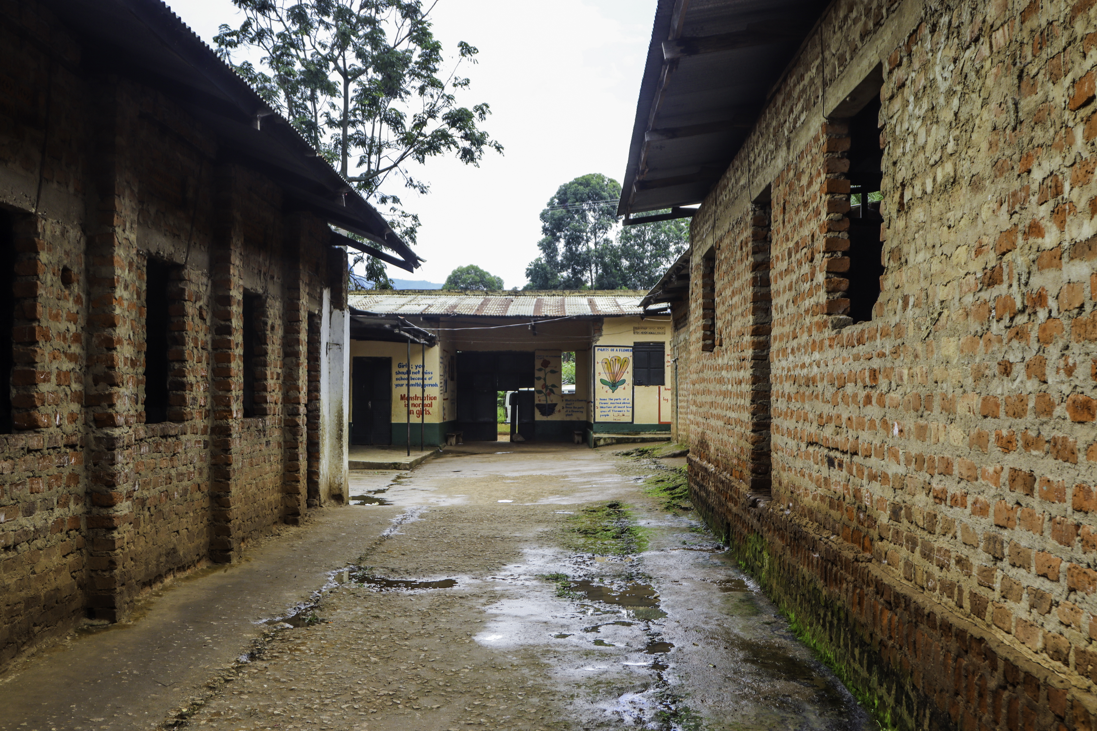 ITEC School