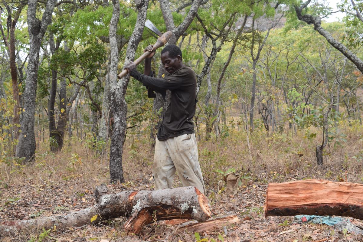 Environment Conservation
